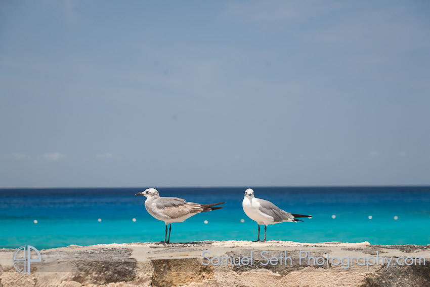 Destination Photographer Mexico Photography Samuel Seth