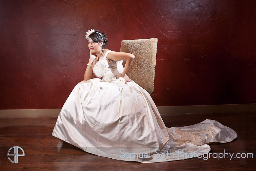 Houston Wedding Photographer Bridal Portraits