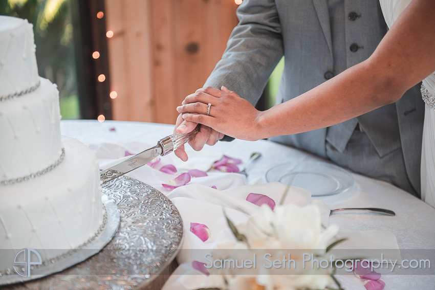 Hands Cutting Wedding Cake