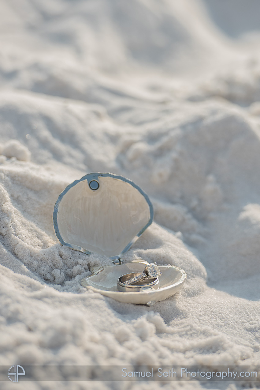 Wedding Rings in Clam Shell destination beach wedding